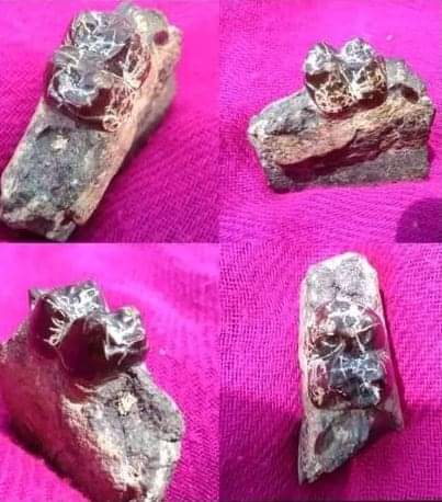 اليمن العثور على طقم أسنان صناعي عمره أكثر من 2000 عام