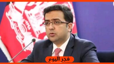 محمود شاه حبيبي