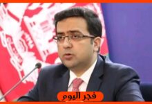 محمود شاه حبيبي