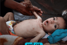 أطفال غزة